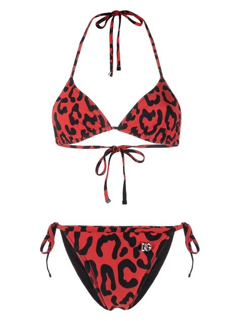 dolce gabbana bikini leopard